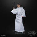 Star Wars Black Series Archive Action Figure 2021 Leia Organa 15 cm