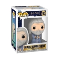 Harry Potter POP! Holiday Vinyl Figure Dumbledore Horcruxes