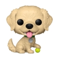 Funko-Legacy POP! Pets Vinyl Figure Golden Retriever