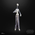 Star Wars Episode II Black Series Action Figure Taun We 15 cm