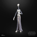 Star Wars Episode II Black Series Action Figure Taun We 15 cm