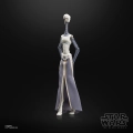 Star Wars Episode II Black Series Action Figure Taun We 15 cm