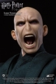 Lord Voldemort 1:8
